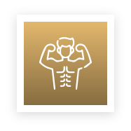 workout full body strength